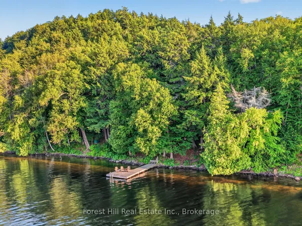 1110 Joseph Tapley Rd, Lake Of Bays, ON P0A 1H0