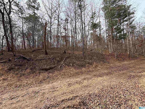5th image of 0 James Lake Rd #1