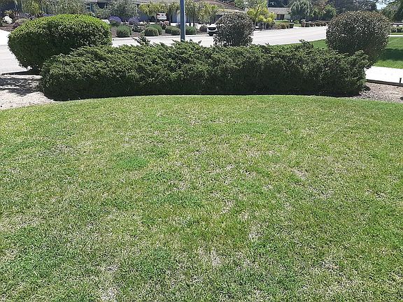 4th image of 4385 Kapalua Dr