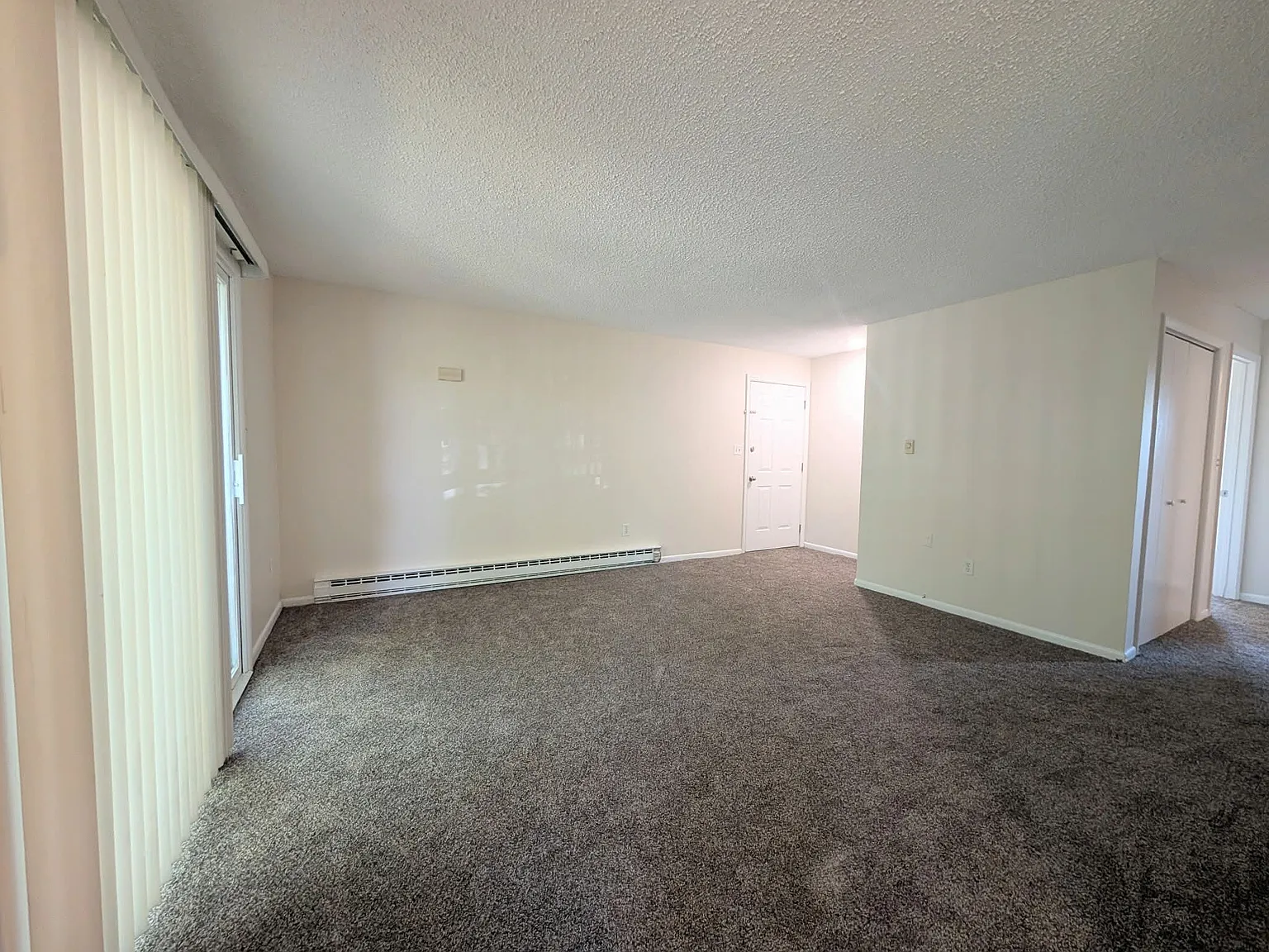 172 E Baker St Manteno IL 60950 — Photo 3