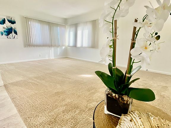 Living room full of natural light