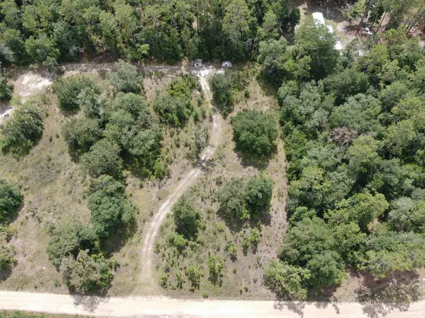 Vacant Ne Blackjack Loop Lot 58-1, Lee, FL 32059