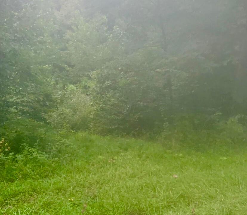 1st image of 6080 S County Road 43