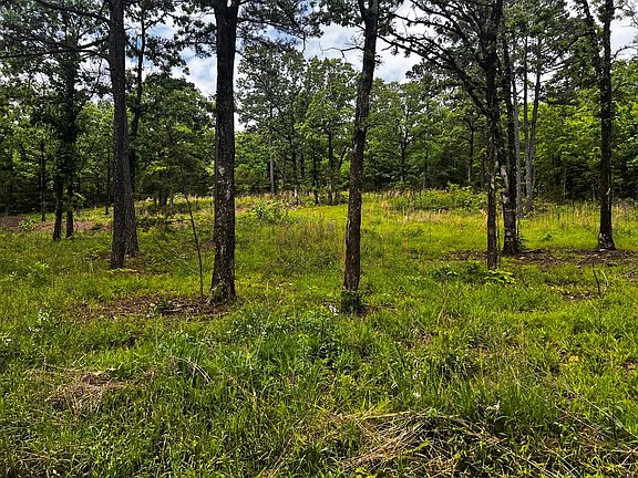 3rd image of Bokoshe Mountain Ln