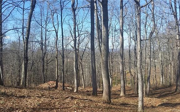2nd image of 12 Tulip Poplar Trl