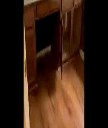4th image of 206 Leghrand Court
