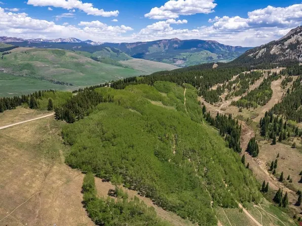 F5 Prospect Drive, Mt. Crested Butte, CO 81225