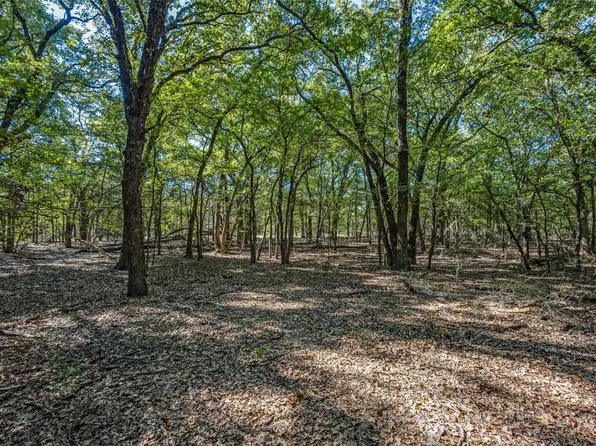 Td Pearce St, Collinsville, TX 76233