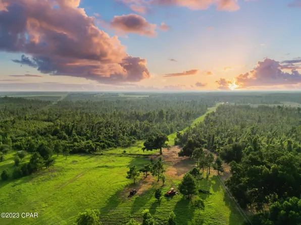 0 County Road 275, Altha, FL 32421