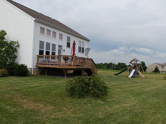 Back yard