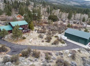 45 Maranatha Rd, Washoe Valley, NV 89704