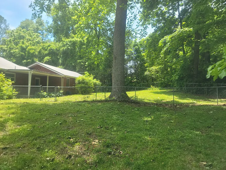 Back yard