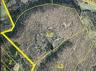 40 Road 42 #A, Duffield, VA 24244