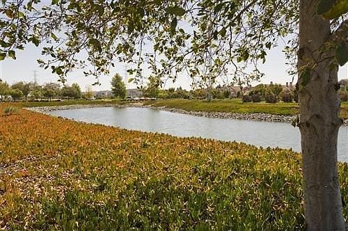 Spectacular water view