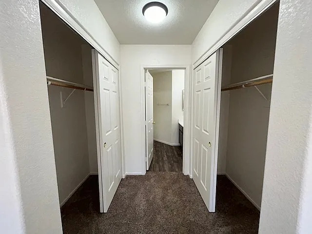 6117 Breeders Cup St — Photo 8
