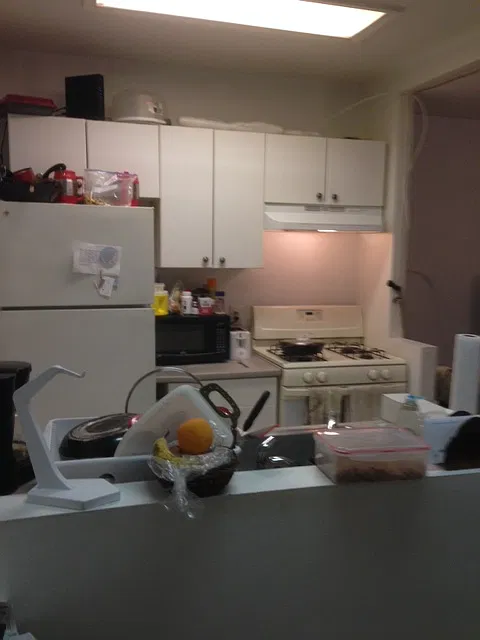 1 bed, 590 sqft, $1,100 — Photo 3