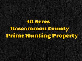 Xxx Waco Rd, Prudenville, MI 48651