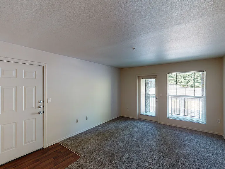 Apartment living room with plush carpet flooring.