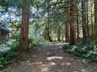 19009 Glacier Rim Dr, Glacier, WA 98244