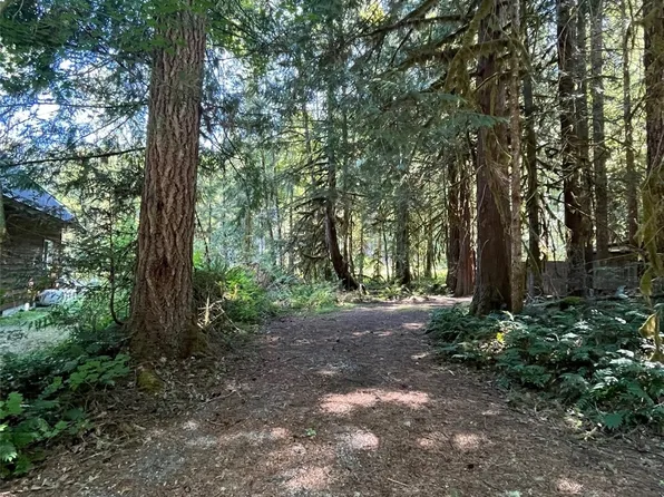 19009 Glacier Rim Drive, Glacier, WA 98244