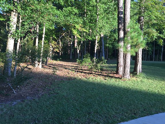 Backs to woods