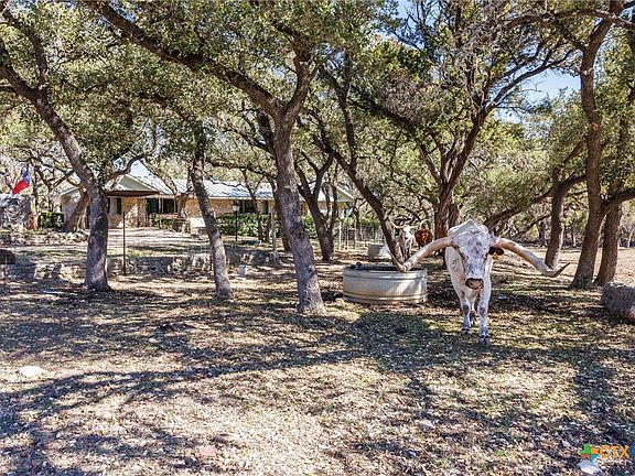 5th image of 118 Buffalo Springs Rd