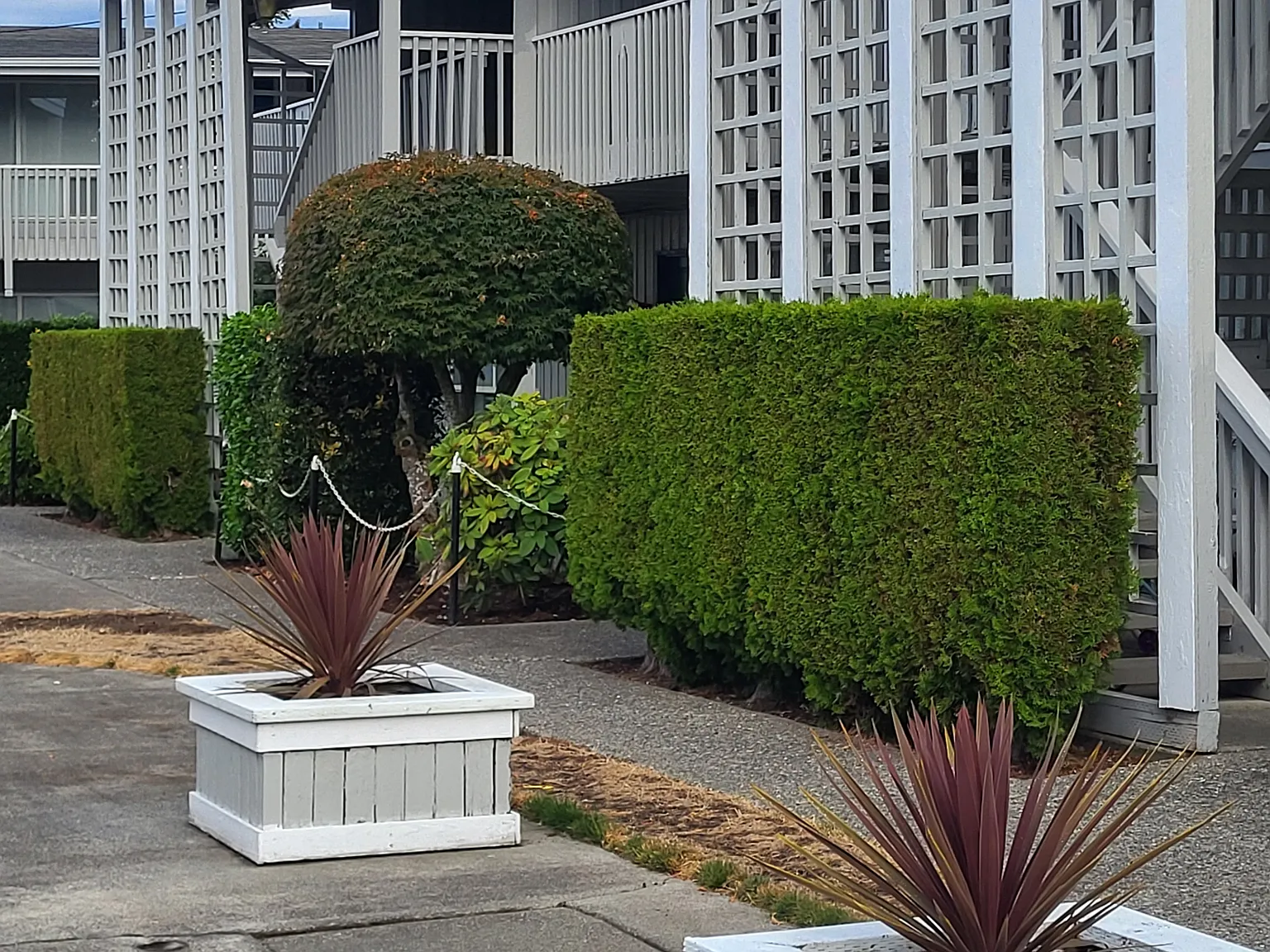 2 bed, 975 sqft, $1,695 — Photo 1