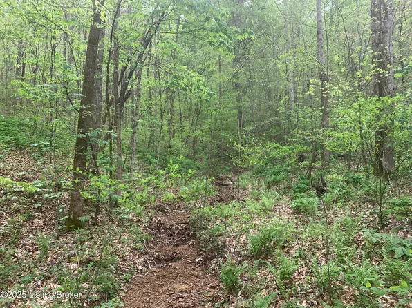 0 Charter Creek Subtle Rd, Edmonton, KY 42129