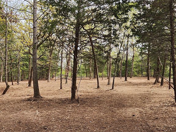 3rd image of LOT 465 County Road 4710
