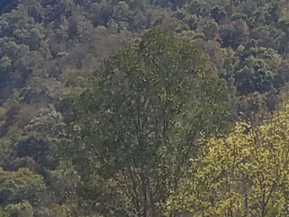2nd image of Little Caney Valley Rd