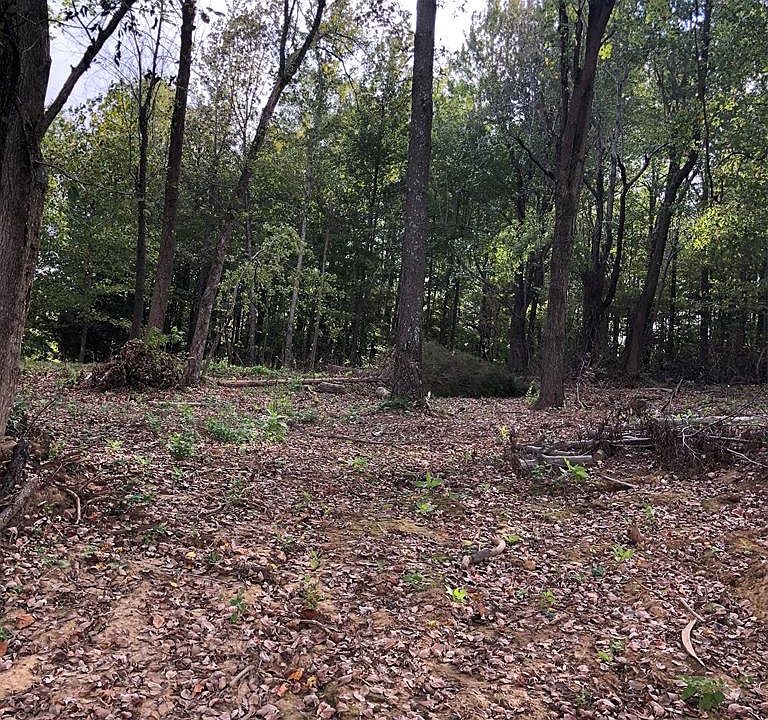 2nd image of 10411 Hwy 231