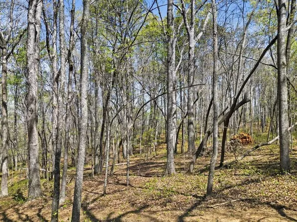 125 Heritage Plantation Dr, Ball Ground, GA 30107