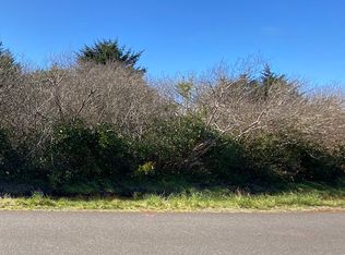 159 Gull St NW, Ocean Shores, WA 98569