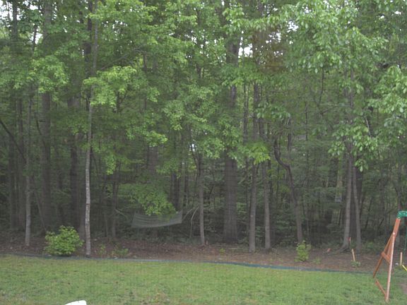 Back yard from Screen Porch