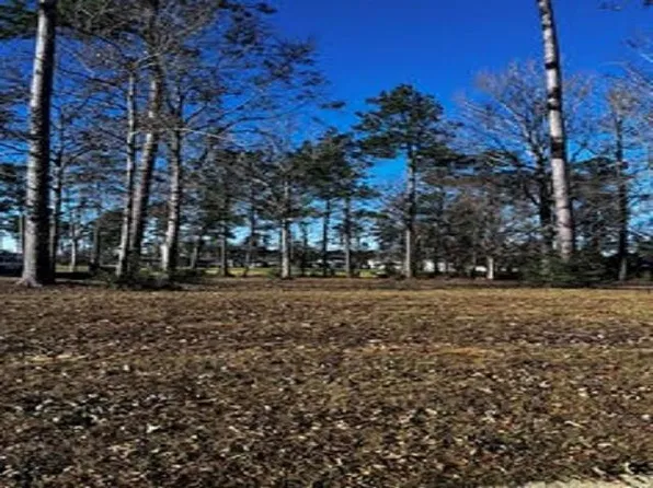 30747 Wild Iris Way, Springfield, LA 70462