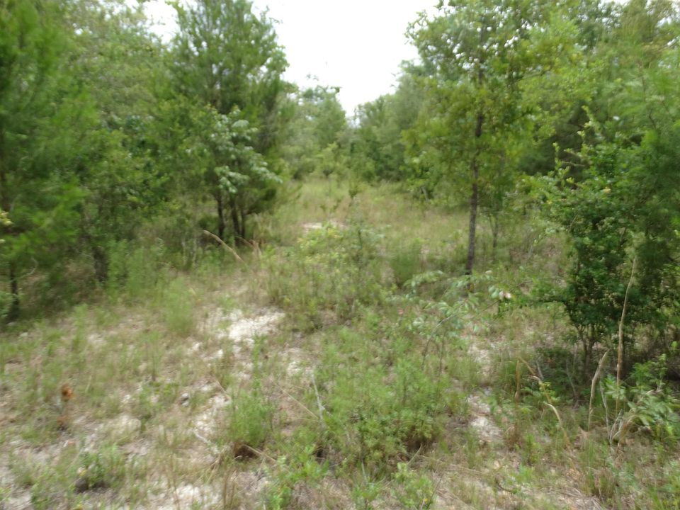 0 SE Hart Ave, Lee, FL 32059 MLS 359035 Zillow