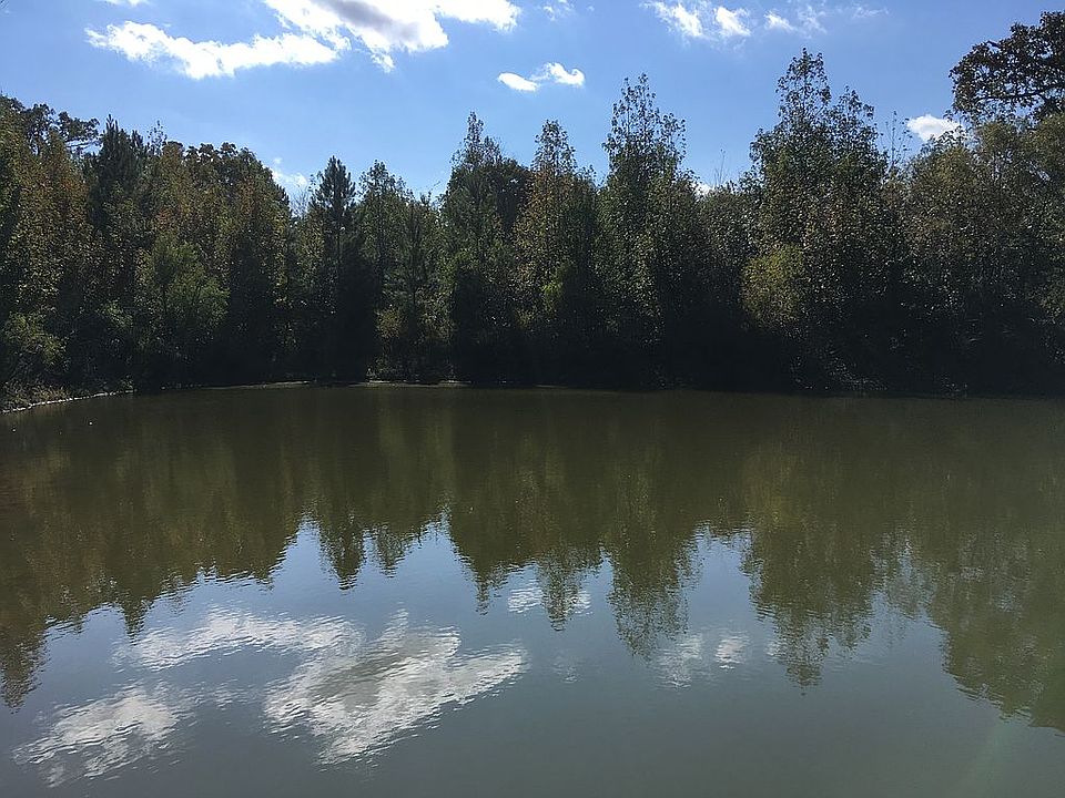 Beautiful pond
