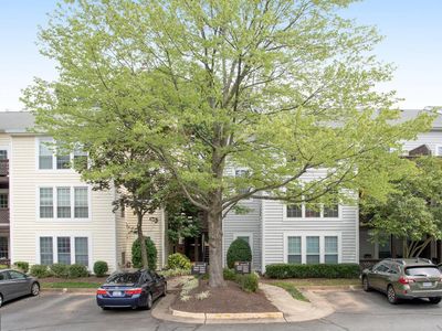 10052 Oakton Terrace Rd, Oakton, VA, 22124