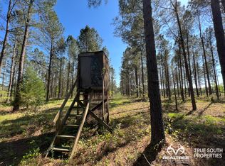 Binnicker Bridge Rd, Bamberg, SC 29003