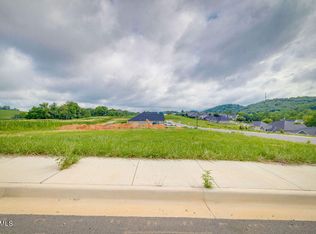 828 Dolen Pl, Kingsport, TN 37663