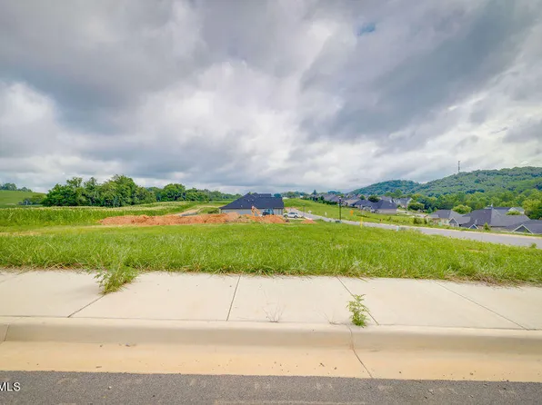 828 Dolen Pl, Kingsport, TN 37663