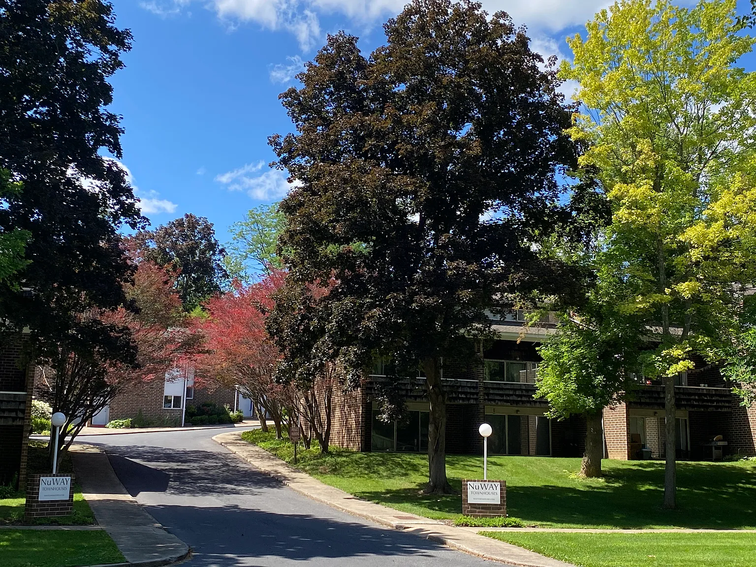 3 bed, 1.5 bath, 1200 sqft, $1,100 — Photo 4