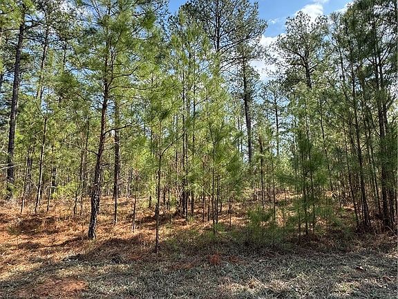 2nd image of 0 Anthony Shoals Road