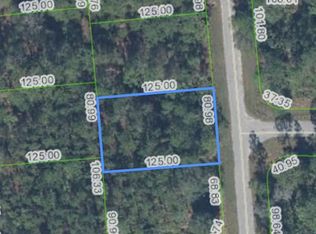 5119 Luenga Ave LOT 28, Sebring, FL 33872