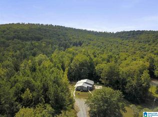 36224 State Highway 411, Ashville, AL 35953