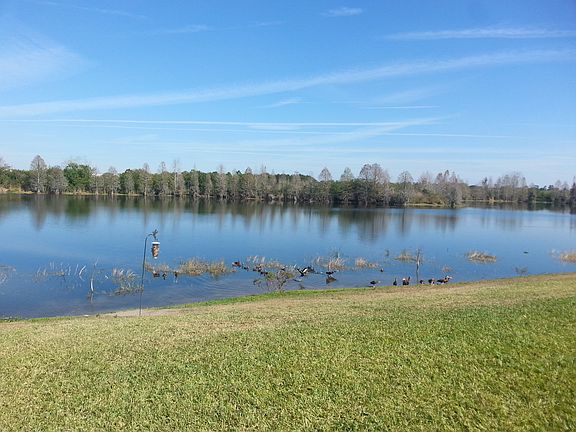 Backyard Lake