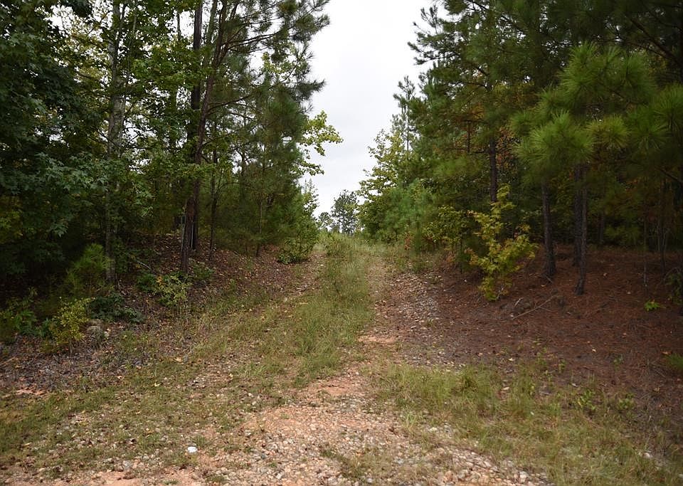 0 Irvin Rd, Shiloh, GA 31826 MLS 190143 Zillow