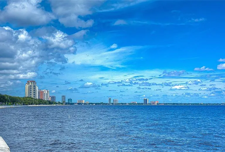 4907 Bayshore Blvd #105 — Photo 3