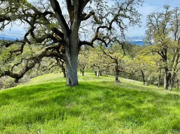 4211 Black Bart Trail, Redwood Valley, CA 95470