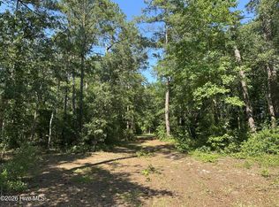 2 Big Eagle Rd LOT 2, Atkinson, NC 28421